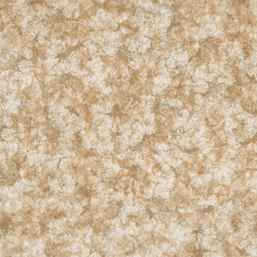 poliert 100010200569